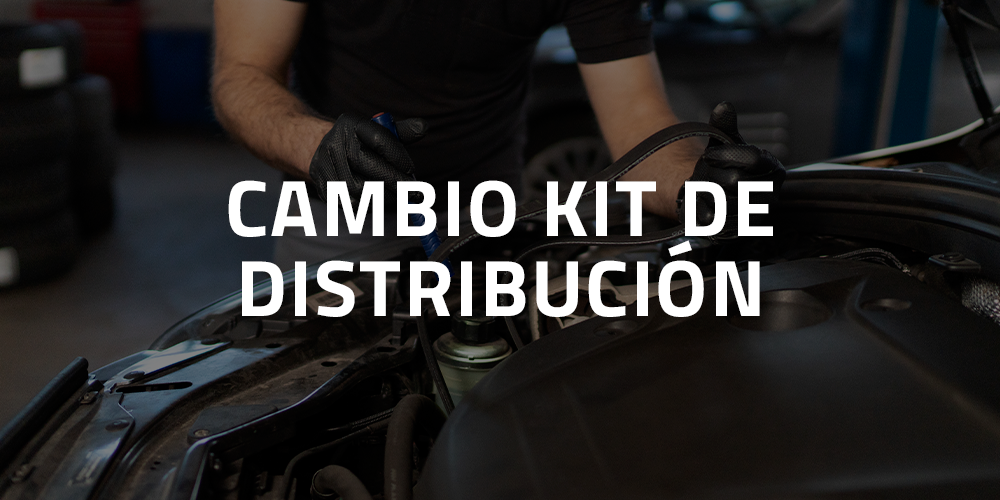 Servicio Distri